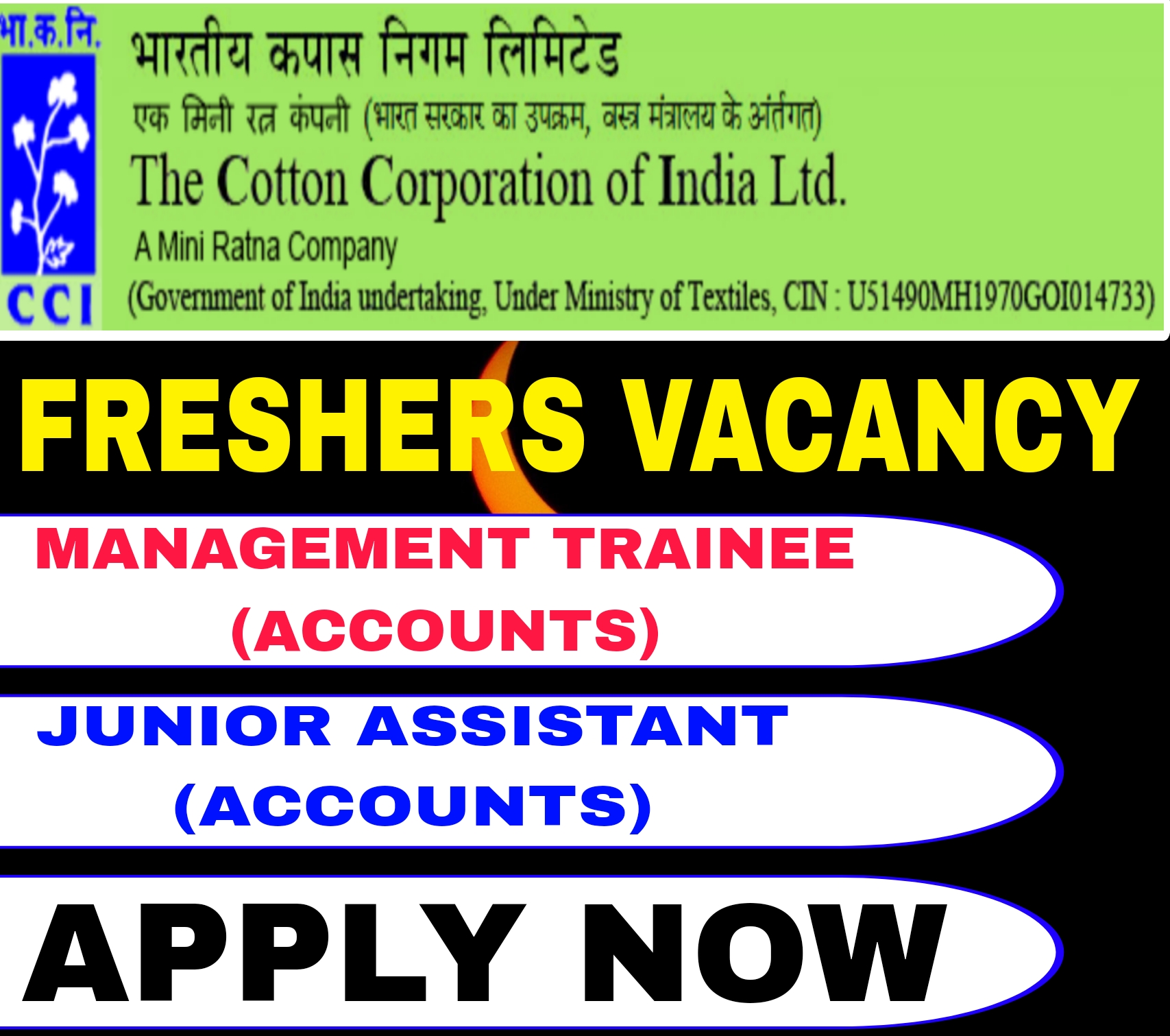 Cotton Corporation of India Ltd (CCIL) Junior Assistant (Accounts)/Management trainee (accounts) Notification Out 2024